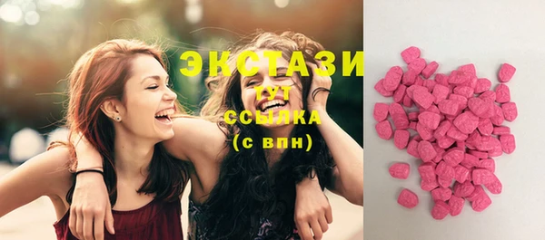 шишки Горно-Алтайск