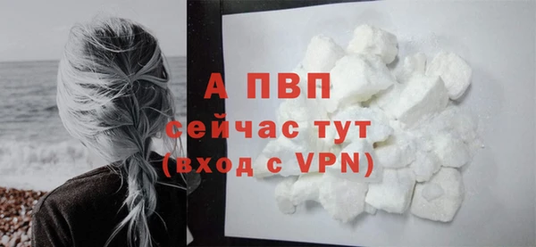 шишки Горно-Алтайск