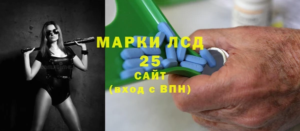 шишки Горно-Алтайск