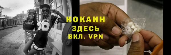 шишки Горно-Алтайск