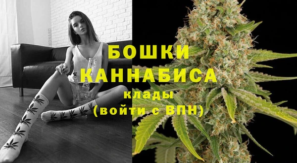 PSILOCYBIN Горнозаводск