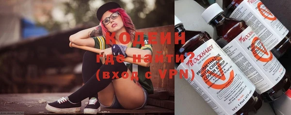 шишки Горно-Алтайск